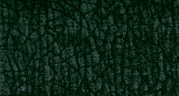Cloud A063 dark green